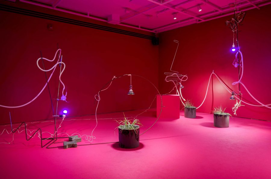 Miriam Simun, A Wet Chemical Trace (2017), vue d’installation à la Galerie de l’UQAM