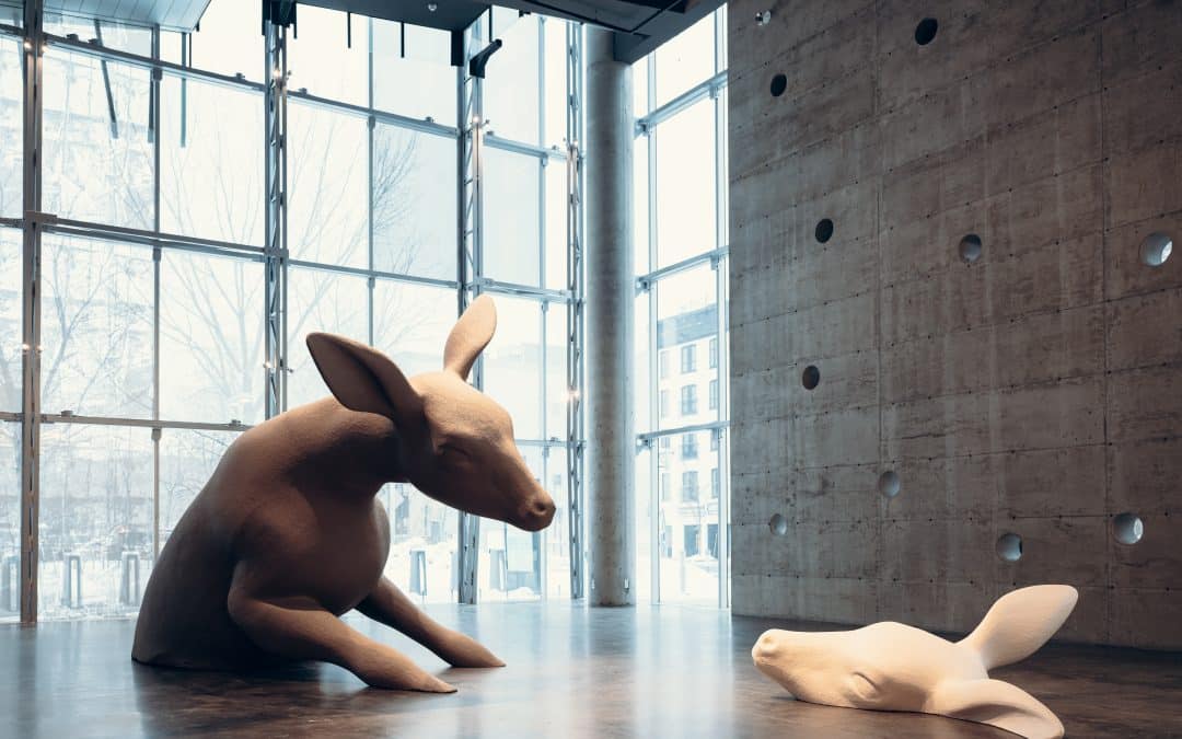 Cooke-Sasseville : le grand déploiement