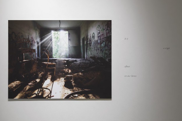 Voyages sur l’île de Poveglia.